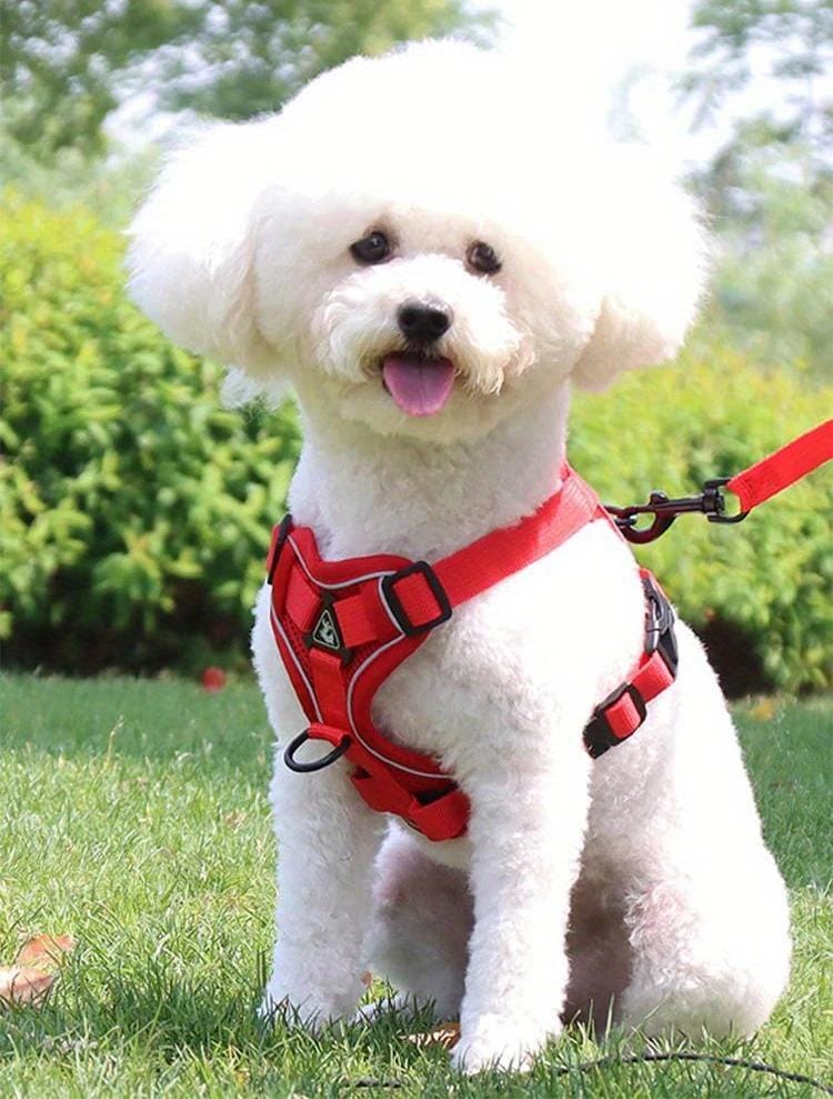 Arnés para perro ajustable tipo chaleco color rojo